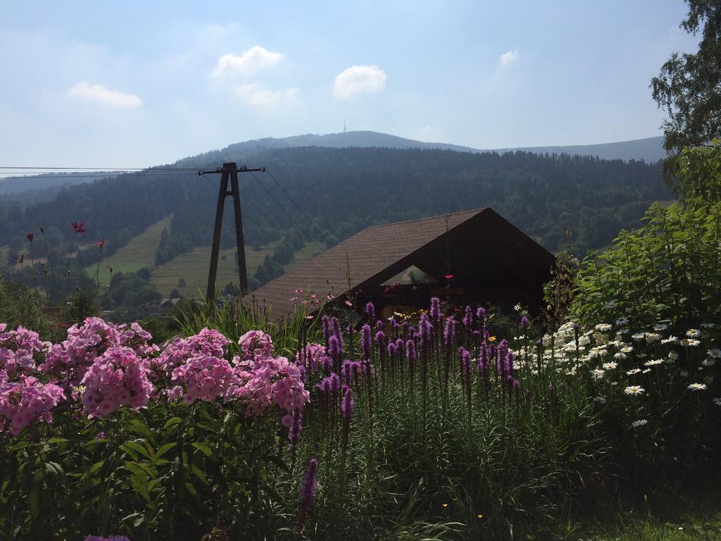 Willa Wierchy Szczyrk Bagian luar foto