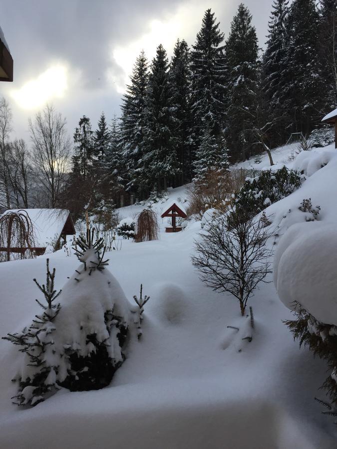 Willa Wierchy Szczyrk Bagian luar foto