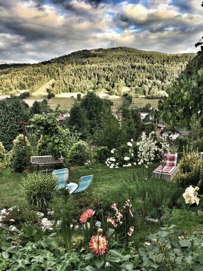 Willa Wierchy Szczyrk Bagian luar foto
