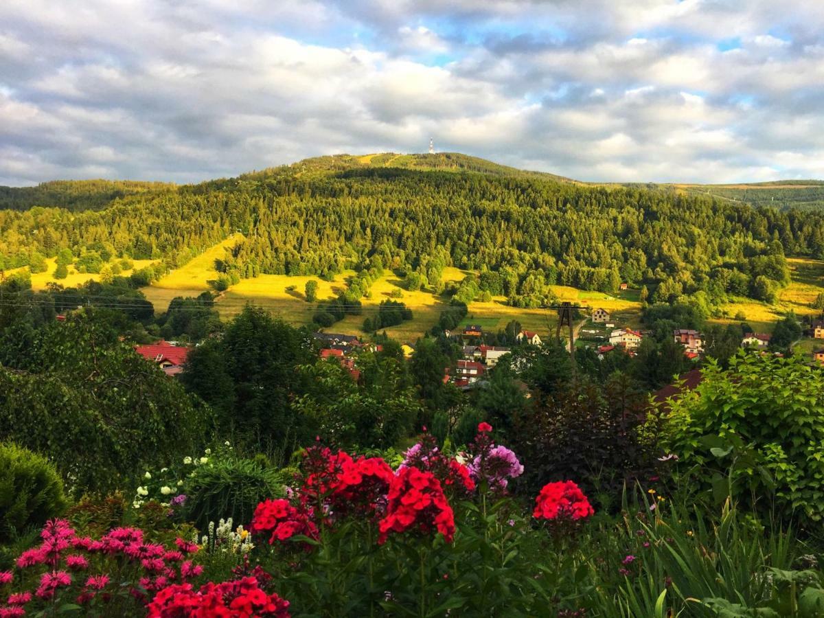 Willa Wierchy Szczyrk Bagian luar foto